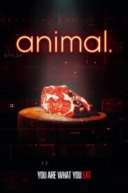 animal.